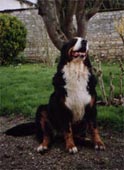 Smylla du Clos Touchesneau